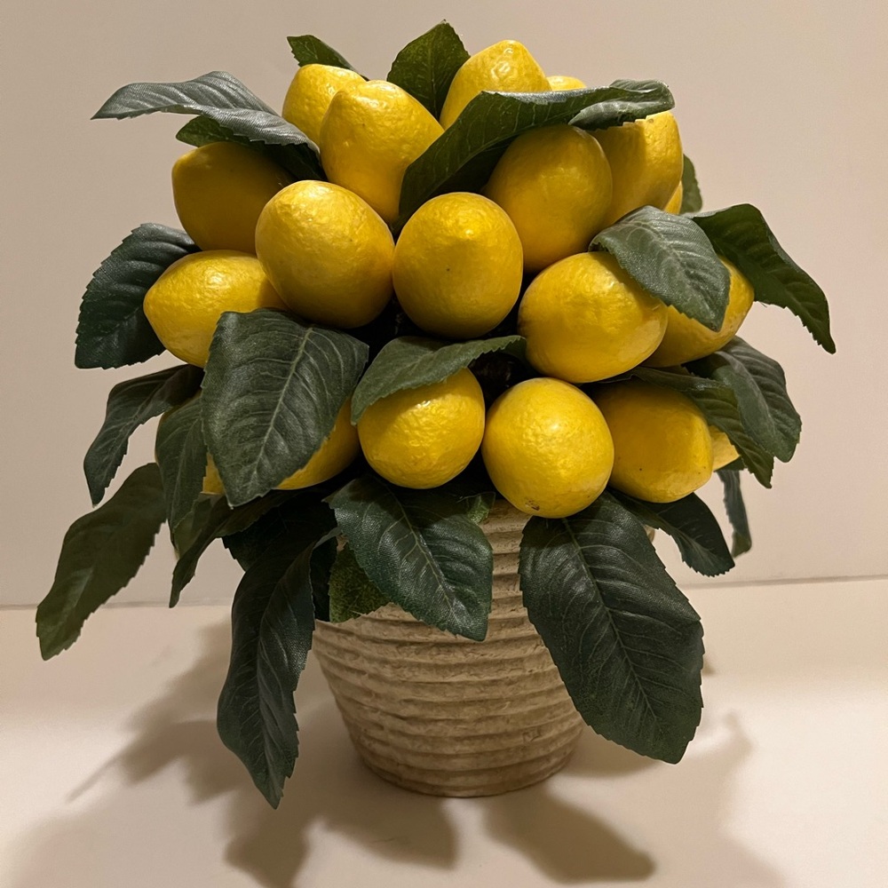 NWOT DECORATIVE FAUX LEMON TOPIARY.